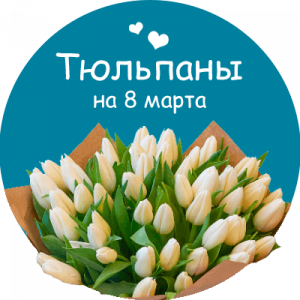 Купить тюльпаны в Удомле